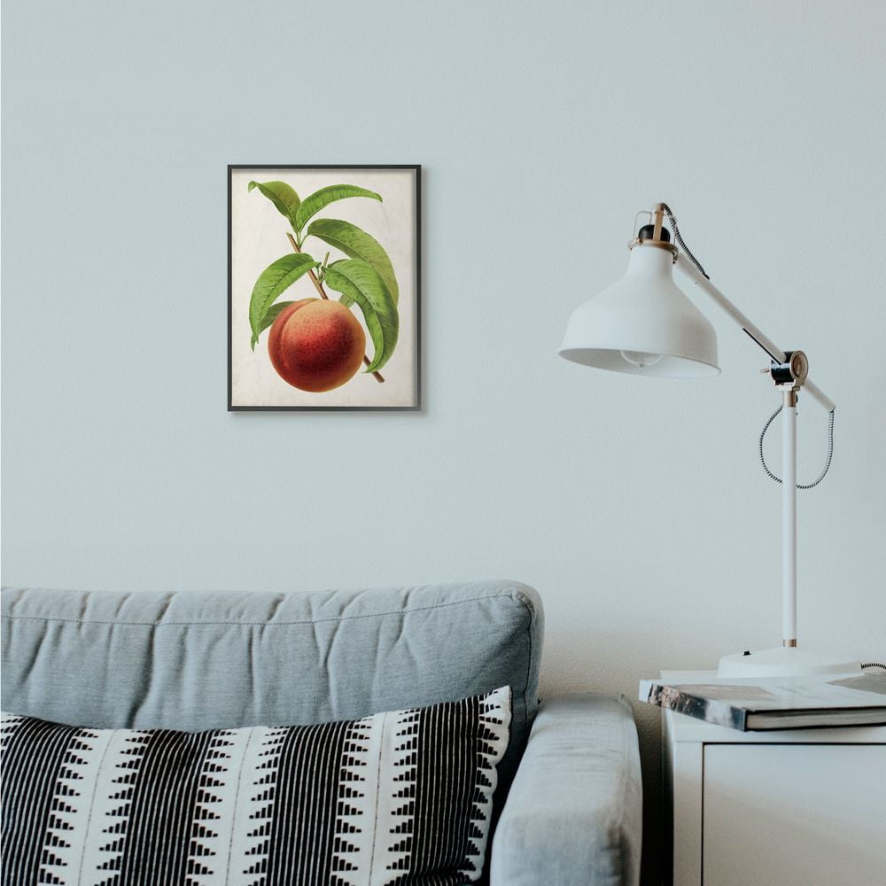 Stupell Industries Vintage Fruit Peach Painting Framed Giclee Texturized Art by Vision Studio
