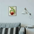 thumbnail image 4 of Stupell Industries Vintage Fruit Peach Painting Framed Giclee Texturized Art by Vision Studio, 4 of 5