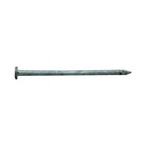 Pro-Fit 3-1/4 in. Common Bright Steel Nail Flat Head 5 lb