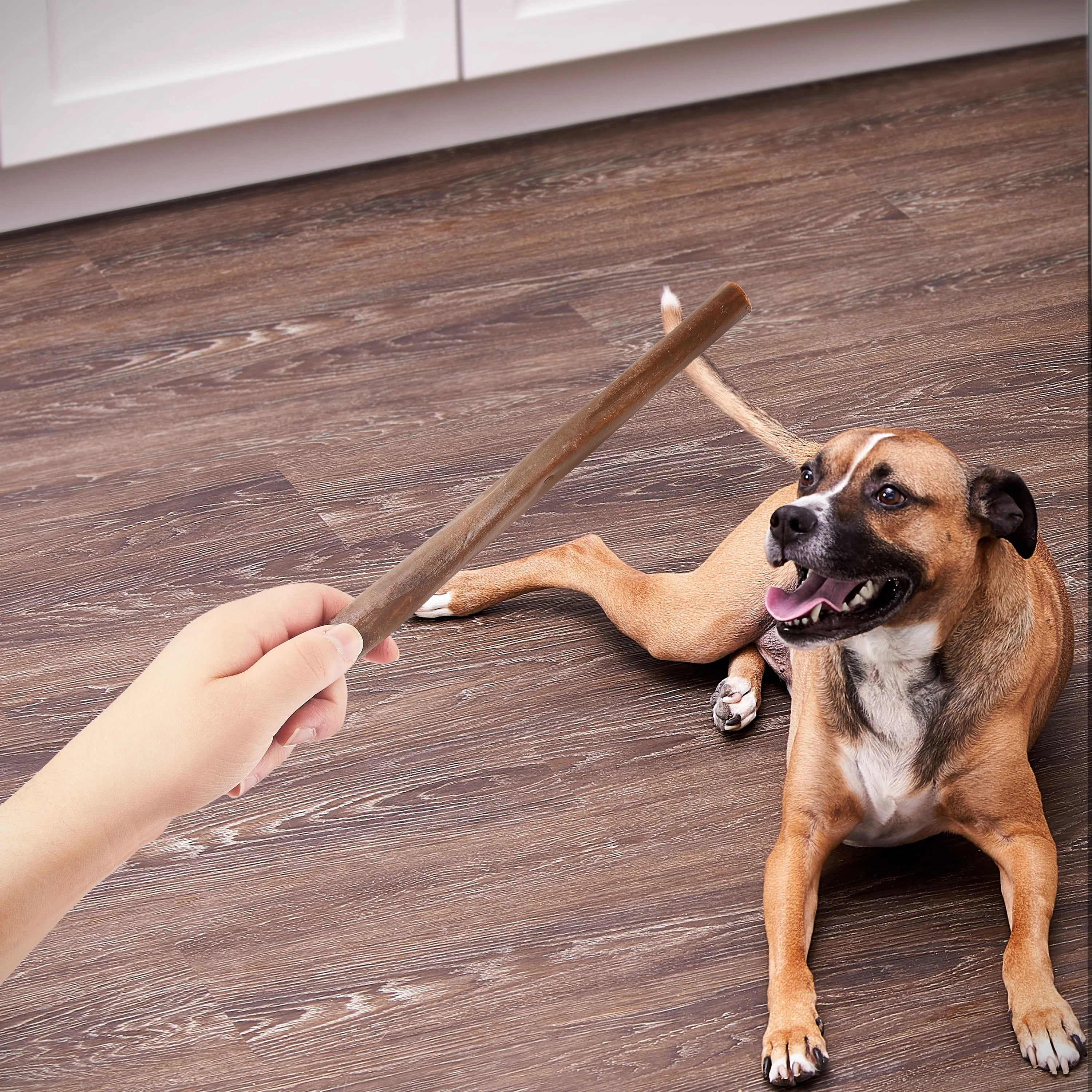 (2 pack) Ol' Roy 10-inch Beef and Bully Stick, Natural Alternative, 1 Count