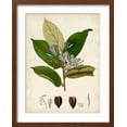 thumbnail image 2 of Art.com Verdant Foliage IV Art Print by Vision Studio, Brown Frame Wall Art, 17" x 21", 2 of 5