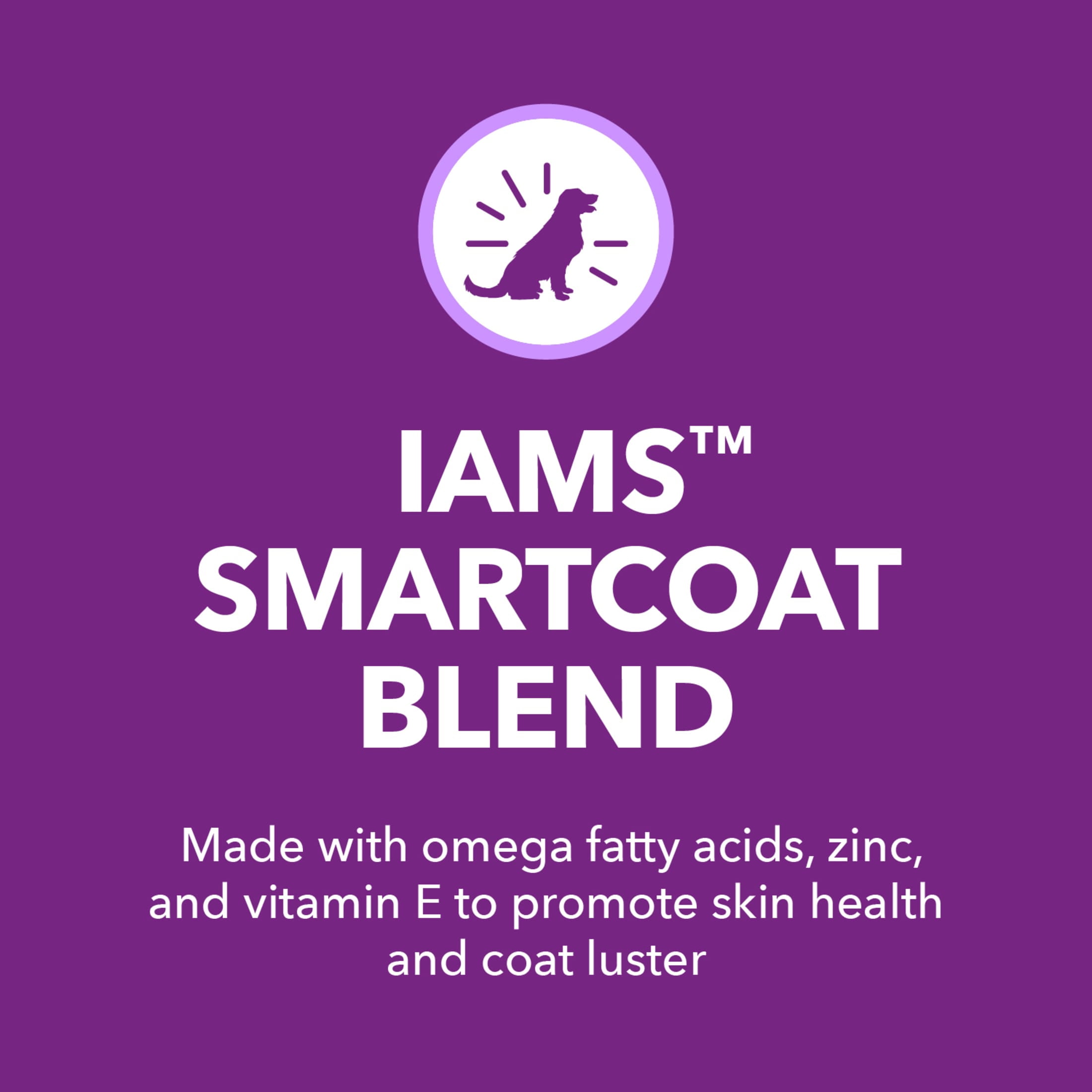 Iams Advanced Health Skin & Coat Chicken And Salmon Recipe Adult Dry Dog Food, 36 Lb Bag