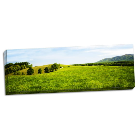 Gango Home Decor Contemporary Mountain Vista I by Alan Hausenflock (Ready to Hang); One 36x12in Hand-Stretched Canvas