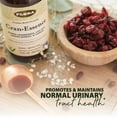 thumbnail image 5 of Flora Cran-Essence Traditional Herbal Liquid Blend - Urinary Health Support - Full Spectrum Blend of Hawthorn & Hibiscus + 7 Herbs in a Base of Cranberry Juice Conc, Daily Tonic-17 fl oz Glass Bottle, 5 of 6