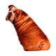 thumbnail image 2 of Almohadas Acolchonadas con Diseño de Mascotas, Conjunto de 2, Lavables, 2 of 9