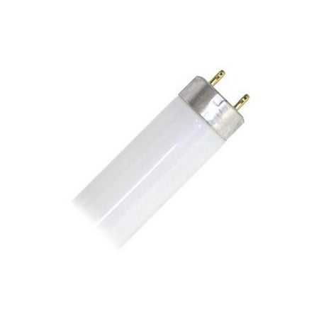 - Philips 141234 - F17T8/TL850 ALTO Straight T8 Fluorescent Tube Light Bulb