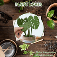 thumbnail image 7 of Monstera Coasters Plant Non-Slip Coasters, Monstera Coaster Set, Tropical Leaf Plant Coasters Home Decoration,, 7 of 7