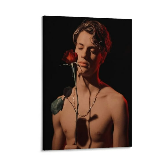 Jace Norman Canvas Poster0 Gifts Canvas Painting Poster Wall Art Decorative Picture Prints Modern Decor 16x24inch(40x60cm)