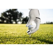 Callaway Warbird Distance+ Golf Balls 2025 12pack, White
