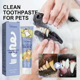 Vets Best Dental Gel Toothpaste for Dogs Dog Dental Breath Aids 3.5 fl oz Walmart