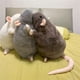 thumbnail image 1 of Almohada De Peluche 1Pcs 35cm Soft Stuffed Mouse Pillow with Realistic Fabric for Sofa Bedroom Living Room Home Decor JASKFLY, 1 of 7