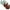 Coffee, variant on 4 Pieces of Womens Seamless Wirefree Bras Comfortable Wireless Bras No Underwire Padded Push Up Soft Back Smoothing Bra