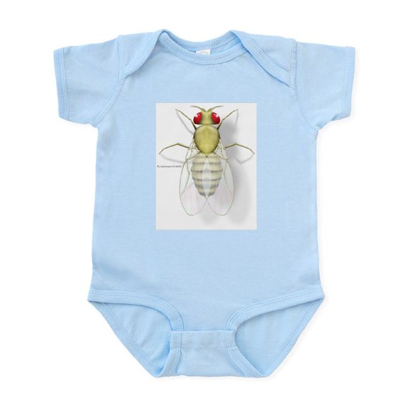 CafePress - Drosophila Infant Bodysuit - Baby Light Bodysuit, Size Newborn - 24 Months