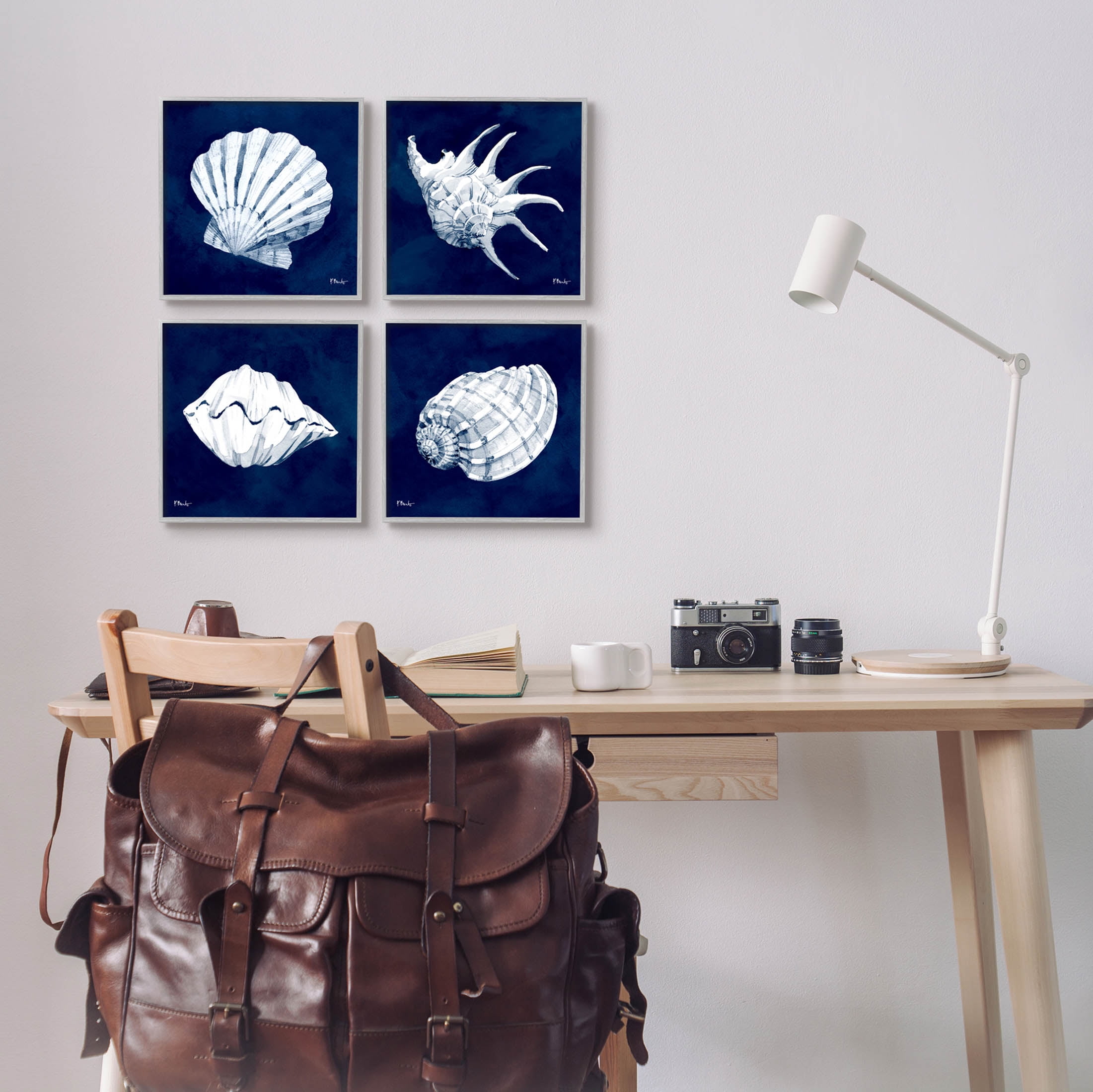 Stupell Industries Traditional Cyanotype Shells Graphic Art Gray Framed Art Print Wall Art, Set of 4, Design by Paul Brent