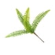 thumbnail image 3 of Billuyoard Hoja de helecho Artificial, fiesta de boda, planta decorativa de helecho, planta de tela de seda para el hogar Plantas Artificiales, 3 of 6