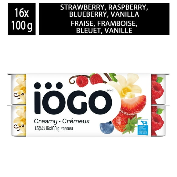 iÖGO Creamy Yogurt Strawberry Raspberry Blueberry Vanilla 1.5%, 16 x 100 g