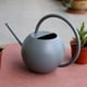 thumbnail image 5 of Regadera de Plantas de Jardín DYNWAVEMX 1L gris regadera de caño largo, 5 of 8