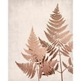 thumbnail image 3 of Bailey, Ann 15x18 Black Modern Framed Museum Art Print Titled - Copper Pink Ferns 2, 3 of 5