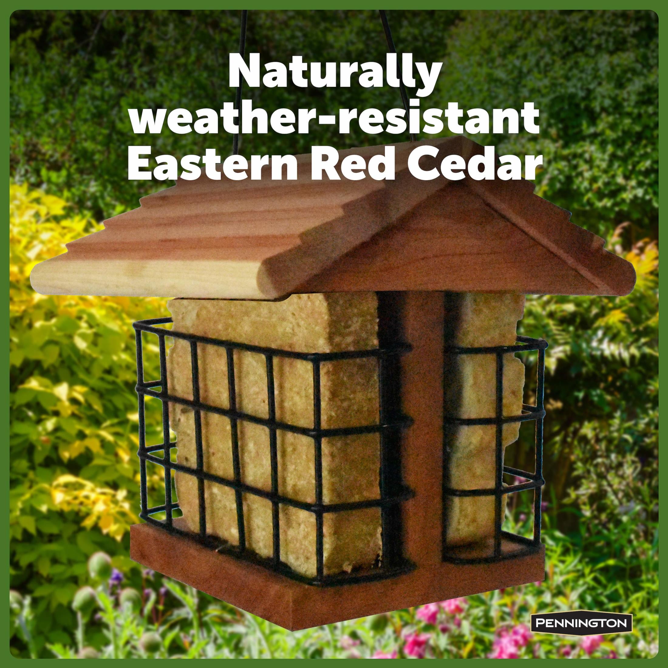 Pennington Red Cedar 2 Cake Suet Station Wild Bird Suet Feeder, 2 Pack