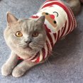 thumbnail image 3 of Jersey con forma de gato BOBIBI, prenda de punto cálida para Papá Noel, tamaño mediano, para Navidad, 3 of 5