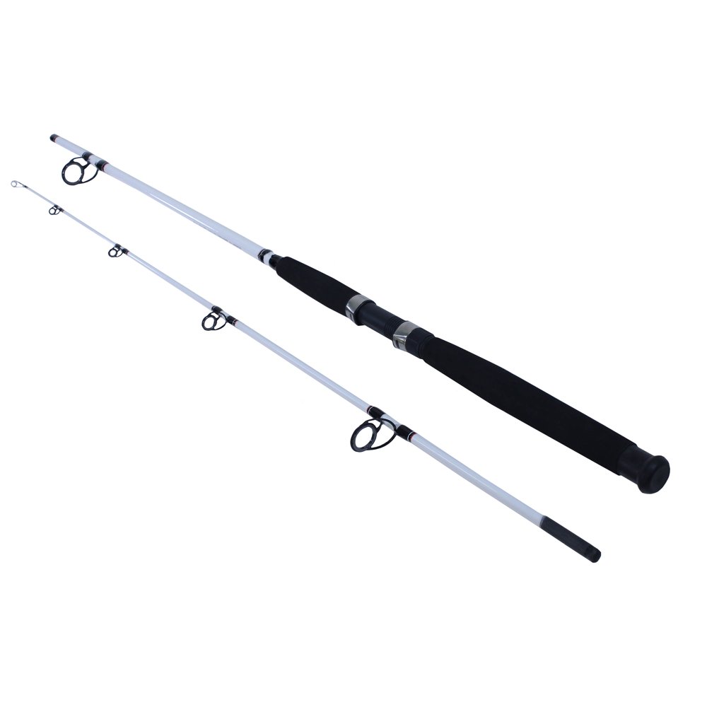 Berkley Big Game Spinning Fishing Rod
