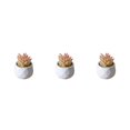 thumbnail image 2 of Billuyoard Simulación suculenta artificial Bonsai Fake Flower Living Room Party Type7 NO7, 2 of 6