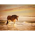 thumbnail image 3 of PHBurchett 14x12 Black Modern Framed Museum Art Print Titled - Sunkissed Horses V, 3 of 5