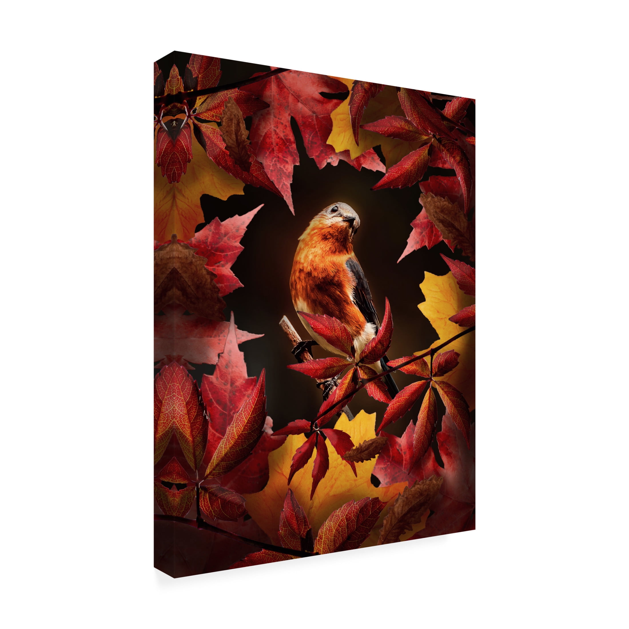 Trademark Fine Art Al Barizi Bird Autumn Canvas Wall Art