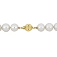 thumbnail image 3 of Everly Women's Cultured Pearl 10k Yellow Gold Necklace, 3 of 8