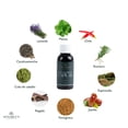 thumbnail image 3 of Shampoo Apigreen para Crecimiento Acelerado de Cabello - F&oacute;rmula con Boost Capilar para Fortalecer y Nutrir el Cuero Cabelludo - Con Ingredientes Naturales, 3 of 6