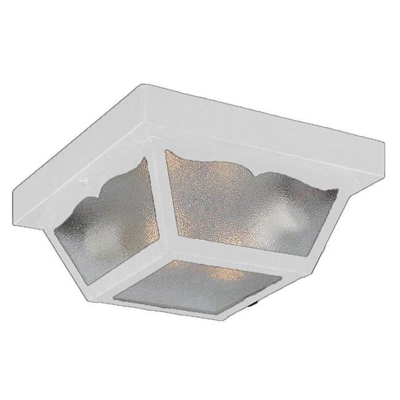 Acclaim Lighting 4902 Builder's Choice 2 Light 10" Width Outdoor Flushmount Ceiling