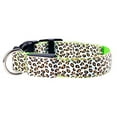 thumbnail image 2 of SPRING PARK Pet Leopard Print Collar Adjustable Night Safety Collar, Makes Your Puppy Seen & Safe, Basic Dog Collars, 2 of 7