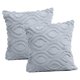 thumbnail image 1 of Funda de almohada decorativa de 18x18 pulgadas con juego de 2 piezas de funda de almohada para sofá de imitación de felpa suave, 1 of 5