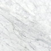 MSI T1212-V3 12" x 12" Square Floor and Wall Tile - Polished - White