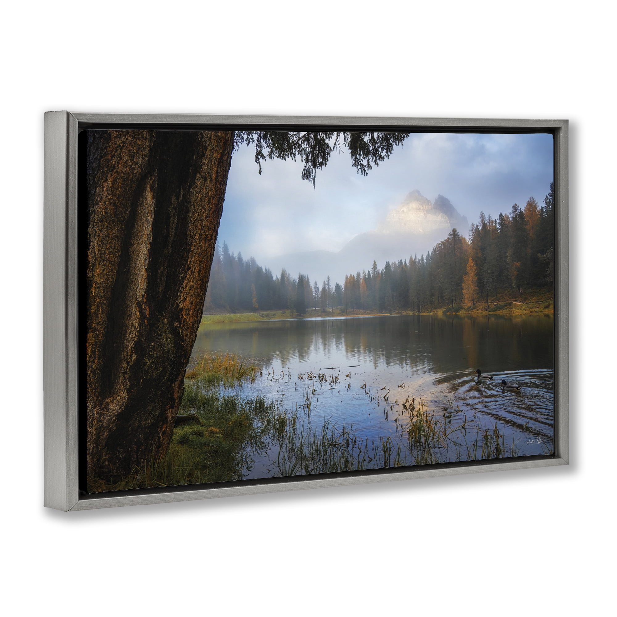 Stupell Industries Autumn Forest Reflections Gray Framed Floater Canvas Wall Art, design by Martin Podt