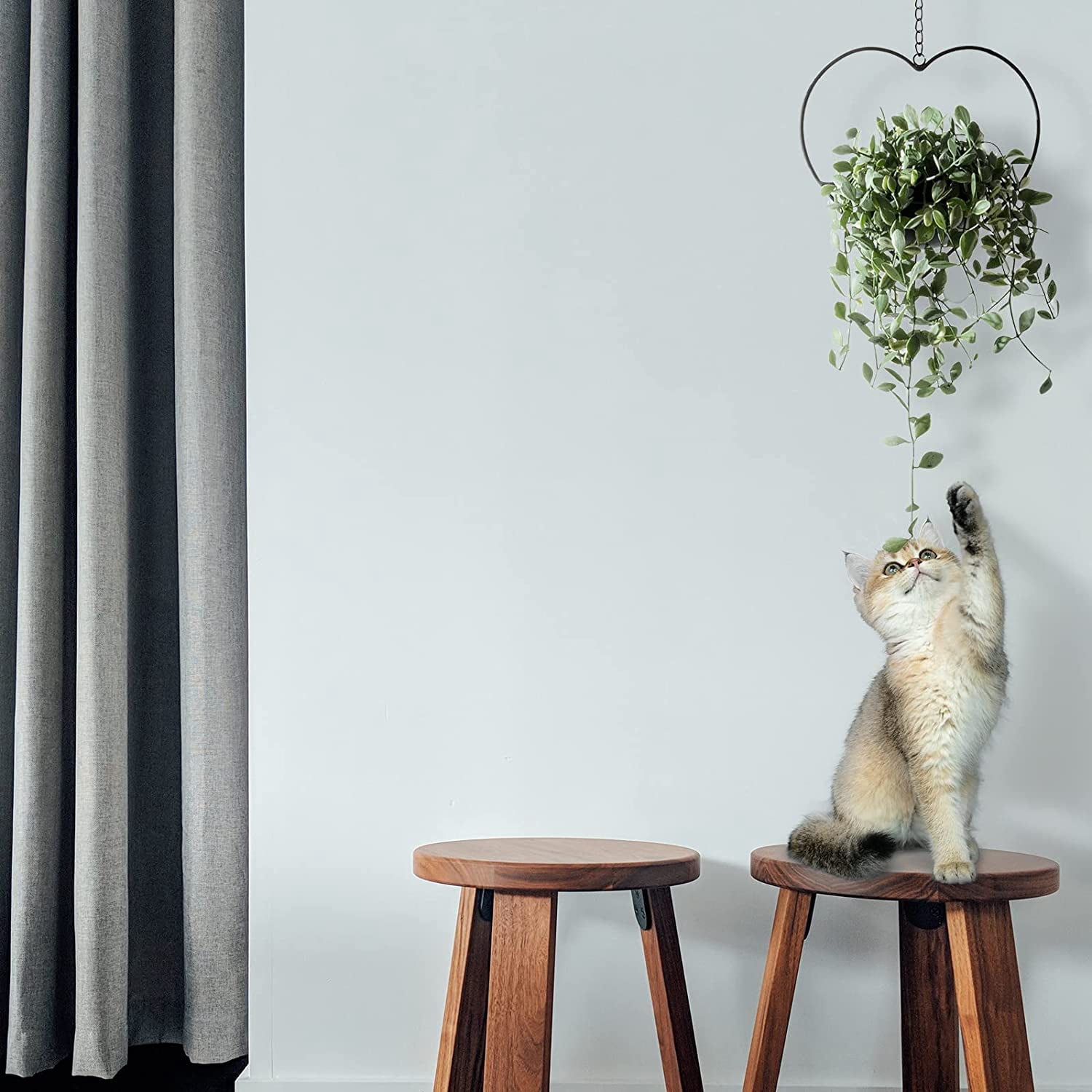 1 Pack Heart Shaped  Hanging Plant Holder with 6inch Detachable Pot, Black Metal Wall Ceiling Plant Hanger for Indoor Outdoor, Minimalist Small Hanging Planter for Home Wedding Decor