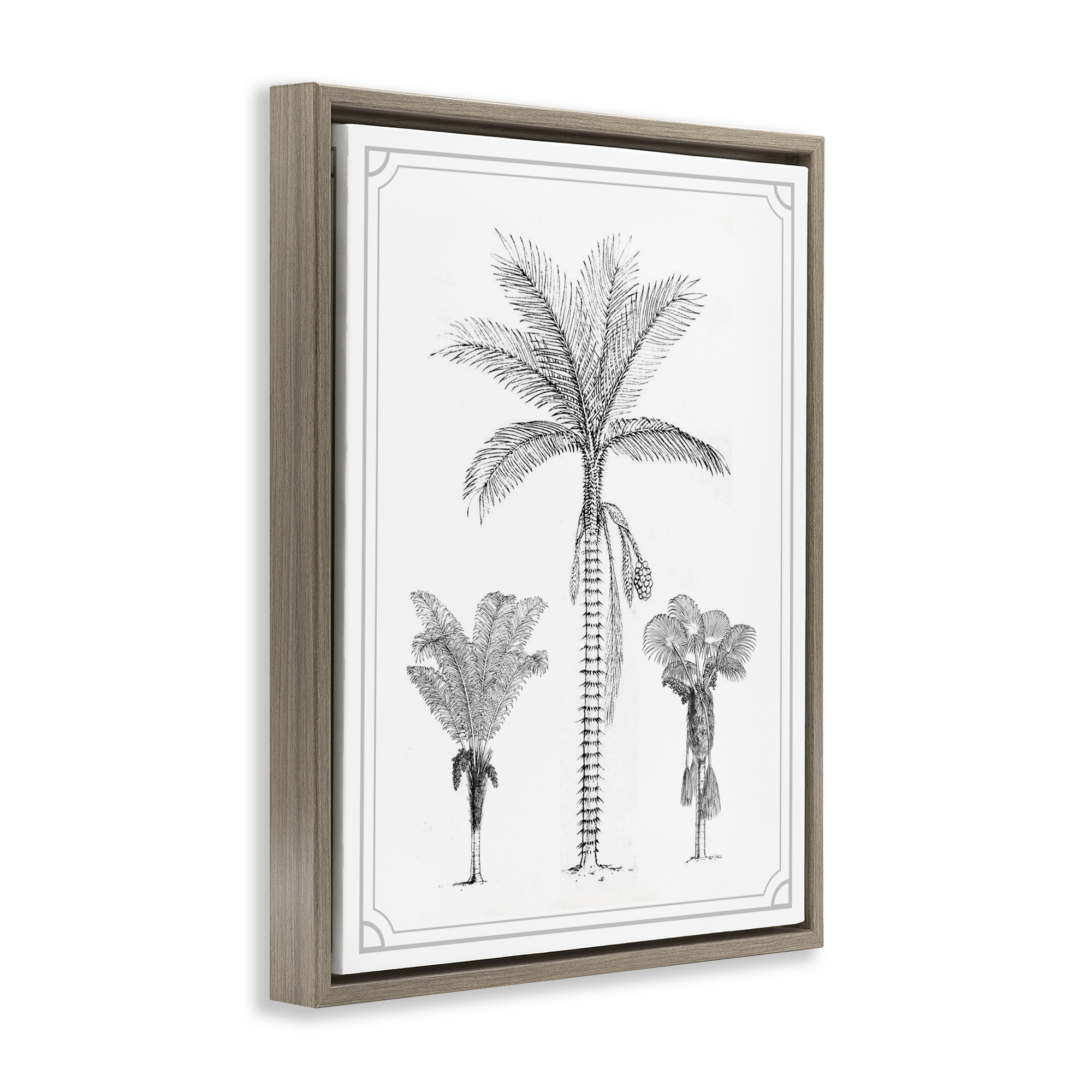 Palm Tree Trio Sketches Brown Framed Floater Canvas Wall Art, design by Lettered and Lined