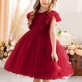 thumbnail image 2 of Ketyyh-chn99 Robe Tutu en Tulle pour Tout-Petits Filles Bébé, Robe à Volants pour Tout-Petits Enfants Bébé Fille pour Concours Fête Mariage, Robe en Tulle Fille à Manches Courtes, Robes de Princesse pour 5-6 Ans, Bordeaux, 2 of 3
