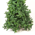 thumbnail image 3 of Árbol De Navidad Oyamel 220 cm Santas Land, 3 of 5