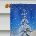 thumbnail image 3 of Carolines Treasures ACG0102CHF Christmas Gnome Riding Reindeer Flag Canvas House Size, 3 of 4