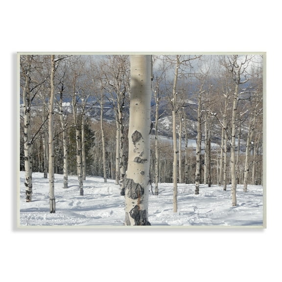 Stupell Winter Birches Photography Wall Plaque Art 10 x 15