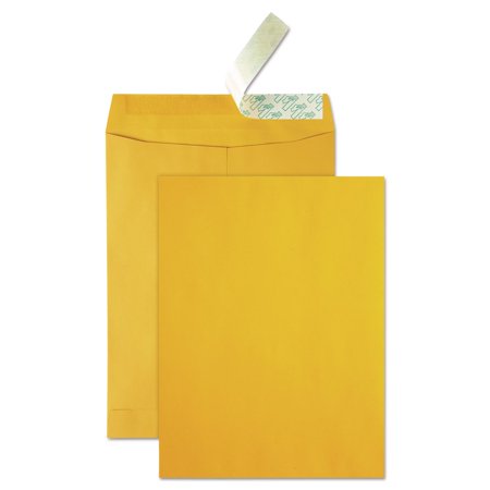 Quality Park High Bulk Redi Strip Catalog Envelope 10 x 13 250/Box 41620