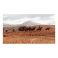 thumbnail image 4 of PS4 RED DEAD REDEMPTION 2 PS4 ., 4 of 4