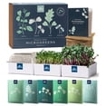thumbnail image 1 of Microgreens Growing Kit Urban Leaf w/ Radish, Kale & More, 1 of 6