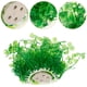 thumbnail image 5 of Plantas de acuario, decoración de pecera, decoración de plantas de plástico Artificial para el Día de San Patricio, 5 of 5