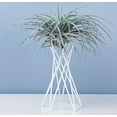 thumbnail image 1 of Tabletop Metal Air Plant Holders Stands Plant Containers Flower Racks;Tabletop Metal Air Plant Holders Stands Plant Containers Flower Racks,White,15CM, 1 of 4