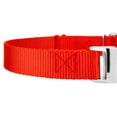 thumbnail image 6 of Country Brook Petz® Hot Orange Heavyduty Nylon Martingale with Premium Buckle, Extra Large, 6 of 6