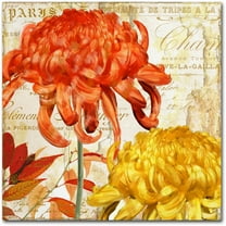 Trademark Fine Art "Chrysanthemums I" Canvas Art by Color Bakery