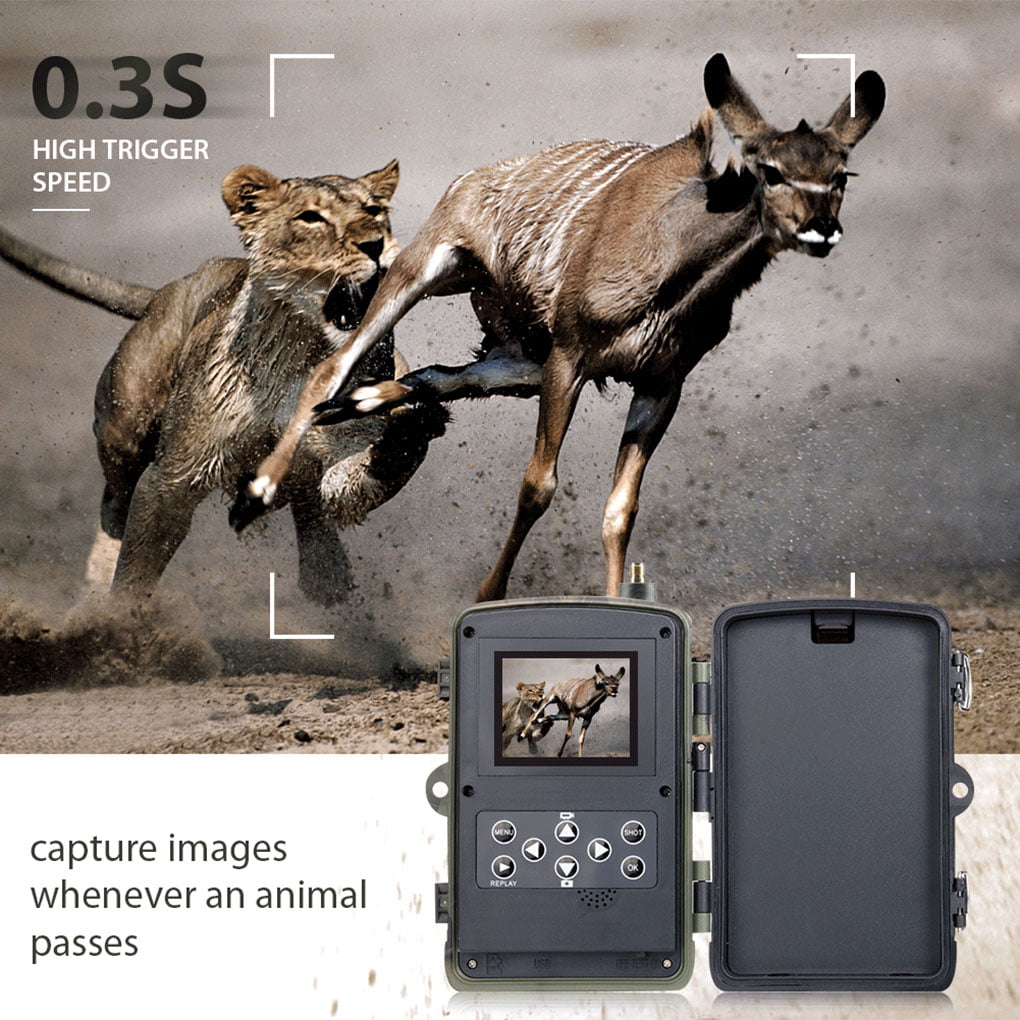 Caméra de Chasse HC-801LTE avec Batterie Lithium 5000mAh Batterie Lithium  photo MMS SMTP SMS :  , camera de chasse