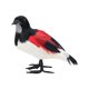 thumbnail image 1 of Musgo artificial Simulación Pluma Pájaro DIY Decoración de jardín Foto Prop Césped Figura Adorno Animal Pájaro Estatuas de jardín 01, 1 of 5